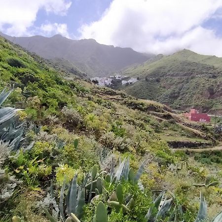 Casa-Solarium En La Naturaleza Santa Cruz de Tenerife Exteriér fotografie