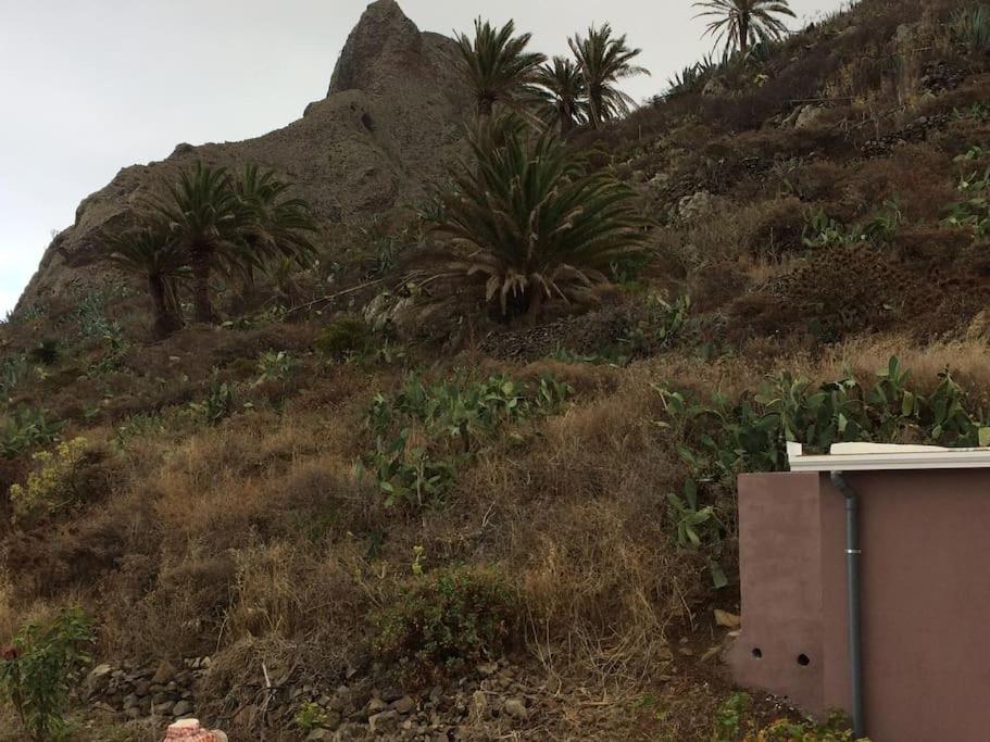 Casa-Solarium En La Naturaleza Santa Cruz de Tenerife Exteriér fotografie